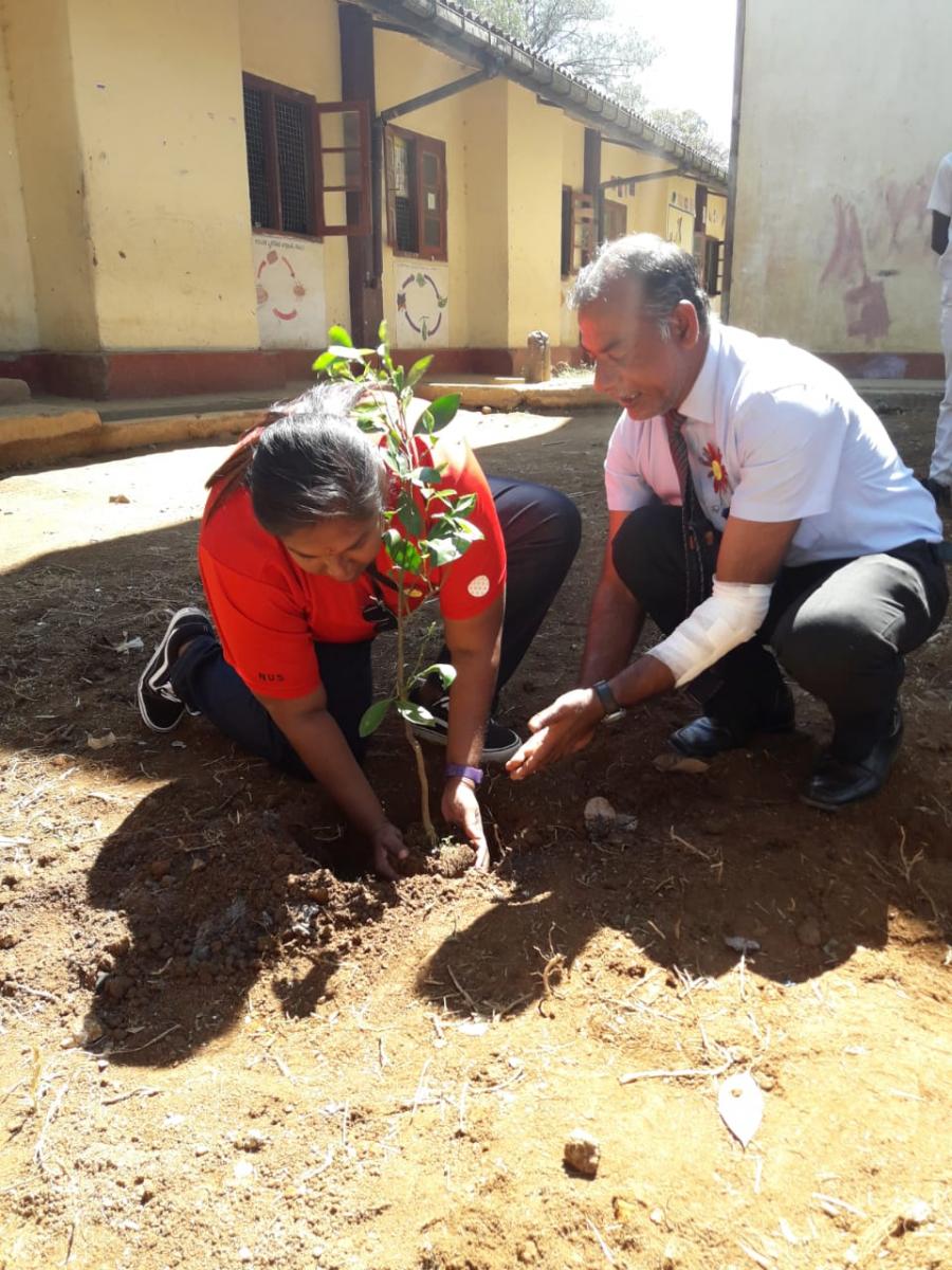 Helping to plant trees at the school