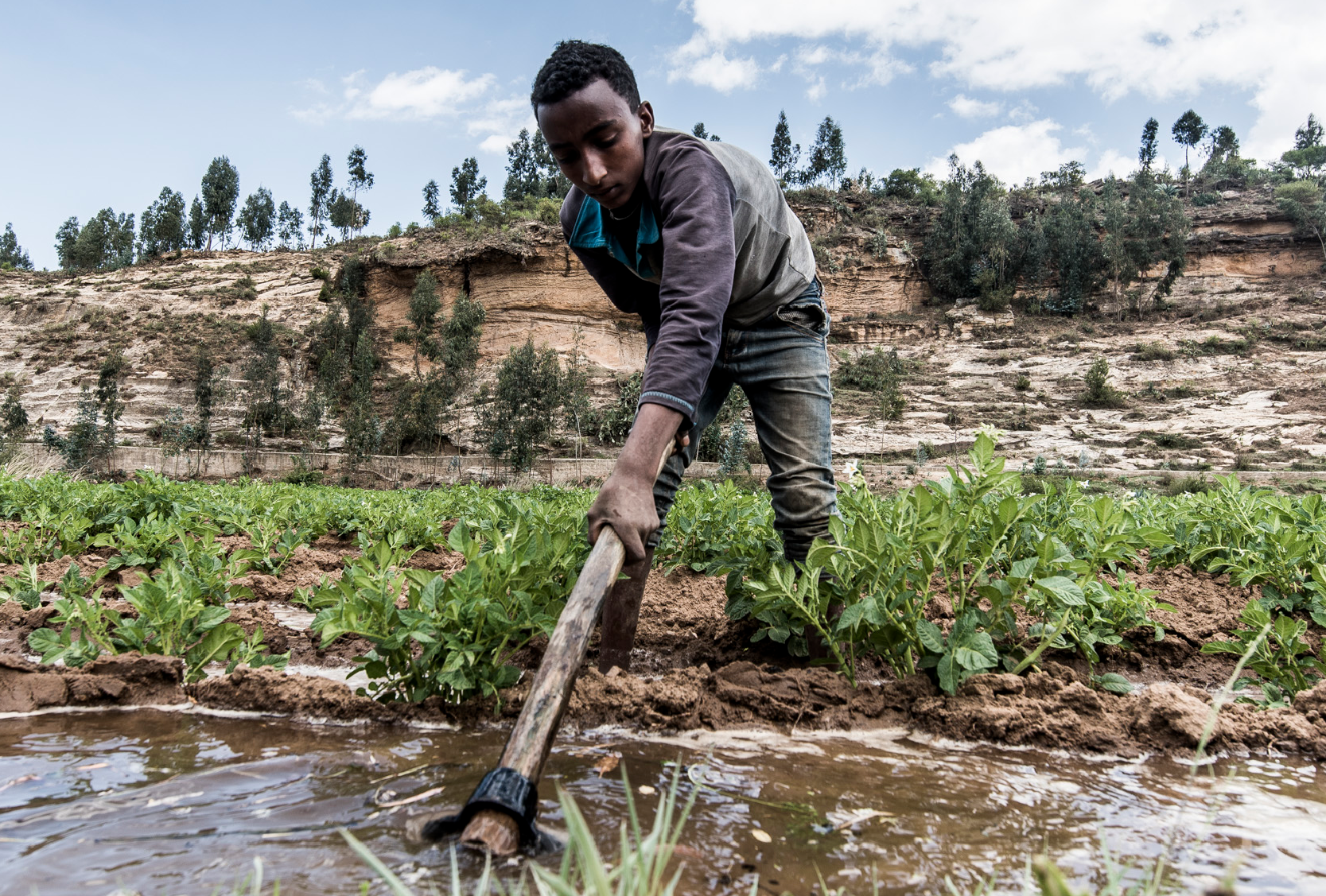 Land Regeneration Ethiopia