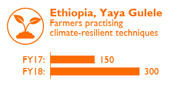 Ethiopia Impact