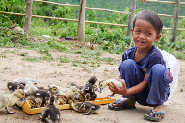 Banner - Livelihood & Microfinance