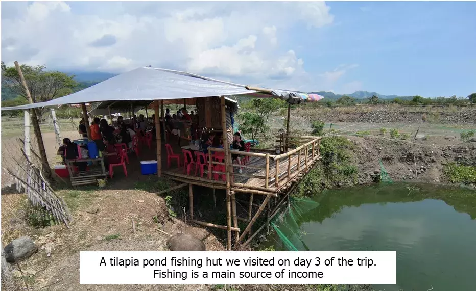 tilapia_pond