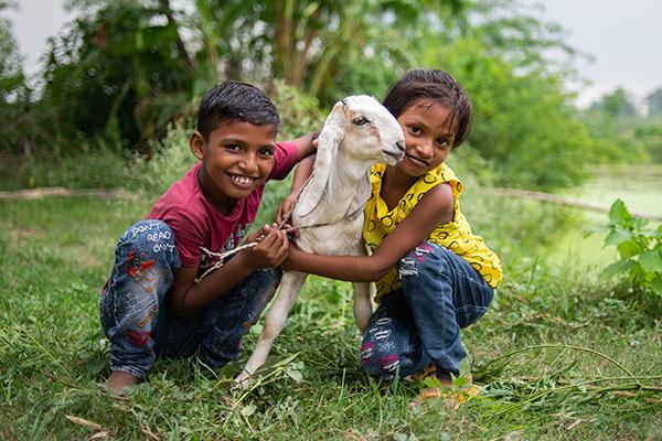 A goat for nutrition & livelihood of a rural family