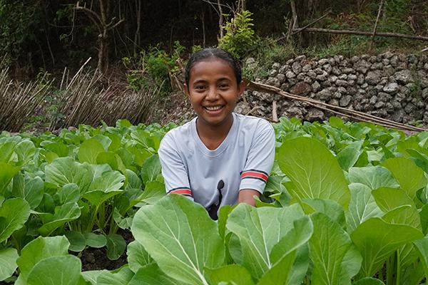 Fruit & vegetable seedlings for 25 families