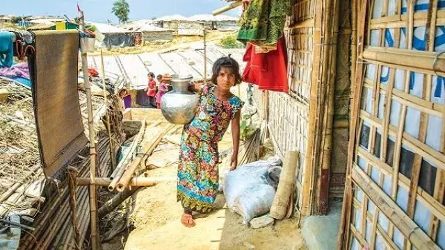 rohingya