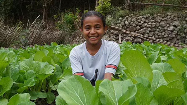 Person standing in vegetable field with green crops