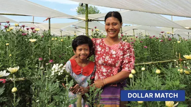 Two people in chrysanthemum field with dollar match label