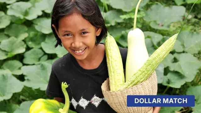 Child with basket of vegetables in garden, dollar match label